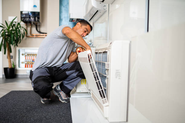 Air Duct Mold Removal in Strathmore, NJ